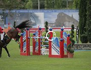 Vacirca E Zeta CsioArJYR SS7 8048 : CSIO Giovani Arezzo, Vacirca Ernesto, Zeta di Sabuci, foto Stefano Secchi ©